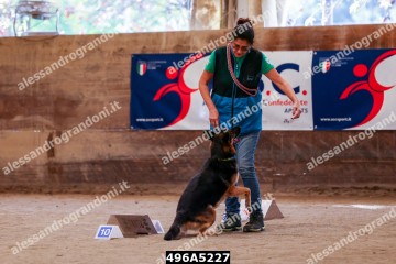 496A5227.jpg