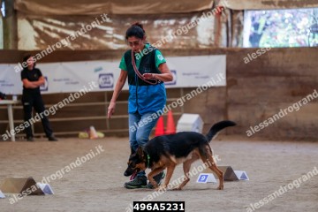 496A5231.jpg