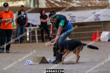496A5234.jpg