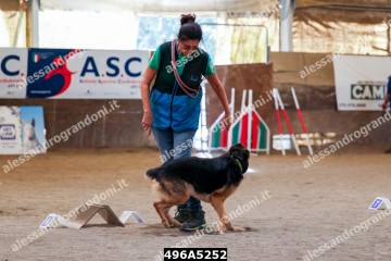 496A5252.jpg