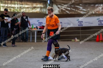 496A5317.jpg
