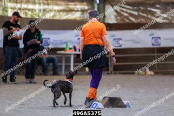 496A5375.jpg