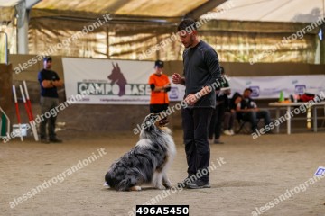 496A5450.jpg