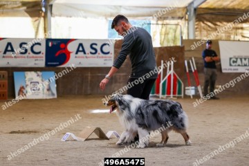 496A5475.jpg