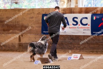 496A5547.jpg