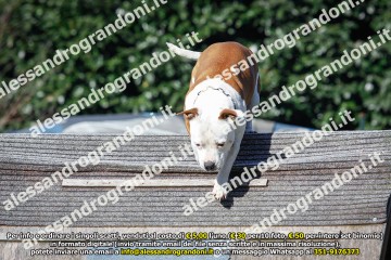 _21A0350.jpg