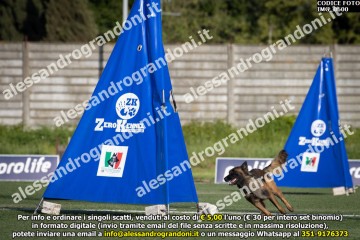 IMG_0600.jpg