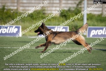 IMG_0603.jpg