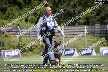IMG_0935.jpg