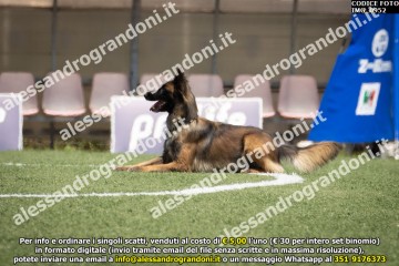 IMG_0952.jpg