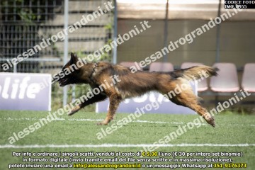 IMG_0955.jpg