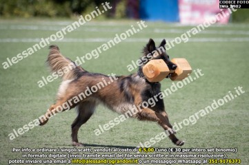 IMG_0982.jpg