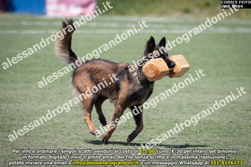 IMG_0984.jpg