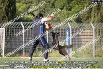 IMG_9426 (2).jpg