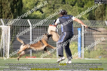 IMG_9429 (2).jpg