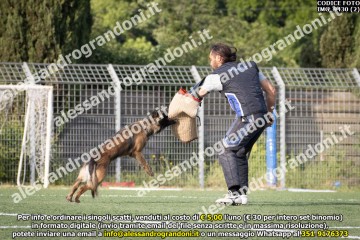 IMG_9430 (2).jpg