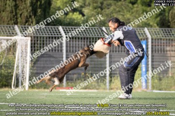 IMG_9431 (2).jpg