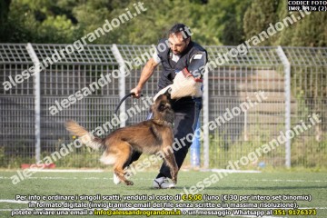 IMG_9436 (2).jpg