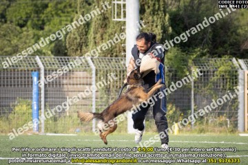 IMG_9441 (2).jpg