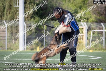 IMG_9453 (2).jpg