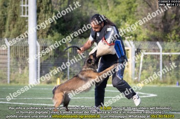 IMG_9454 (2).jpg