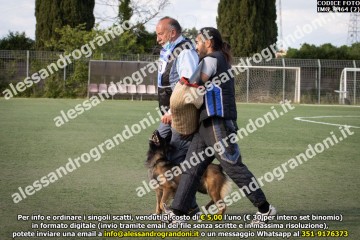 IMG_9464 (2).jpg