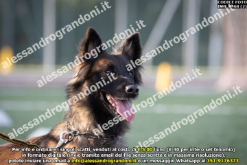 IMG_9468 (2).jpg