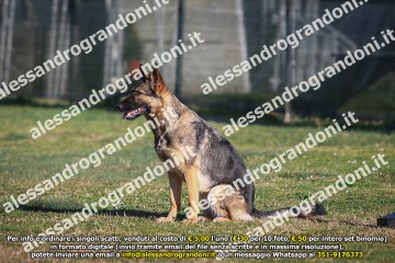 496A1606.jpg