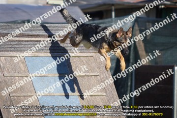 496A1630.jpg