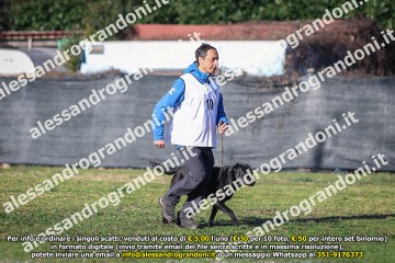 496A1633.jpg