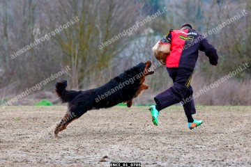 ENCI_01_0705.jpg