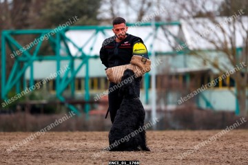 ENCI_01_1768.jpg