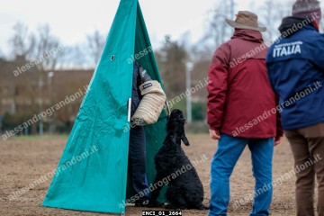 ENCI_01_2664.jpg
