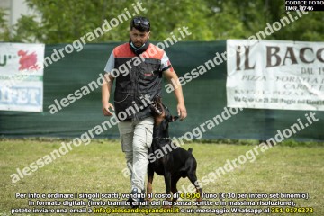 IMG_0746.jpg