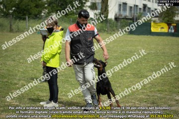 IMG_0752.jpg