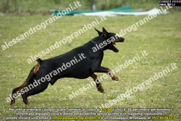 IMG_0757.jpg