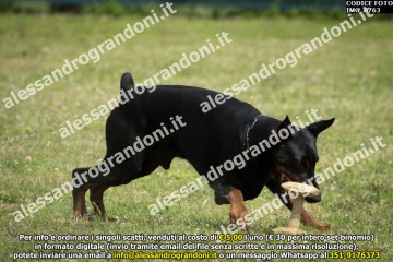 IMG_0763.jpg