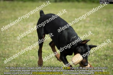 IMG_0765.jpg