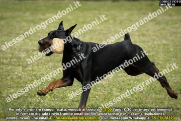 IMG_0770.jpg