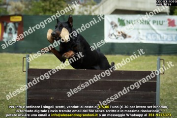 IMG_0774.jpg