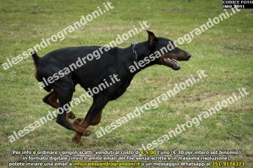 IMG_1091.jpg