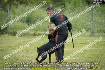IMG_1108.jpg