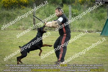 IMG_1114.jpg