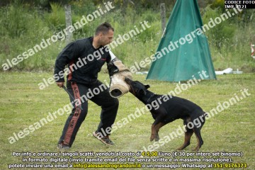IMG_1121.jpg