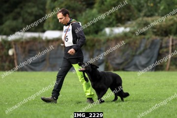 IMG_2229.jpg