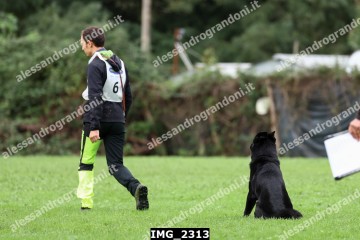 IMG_2313.jpg