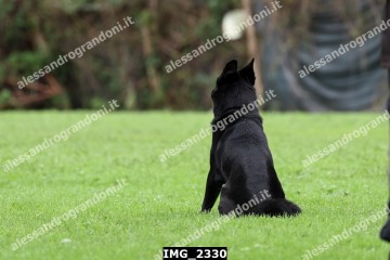 IMG_2330.jpg