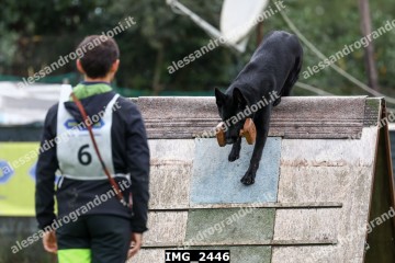 IMG_2446.jpg