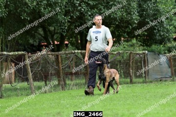 IMG_2466.jpg
