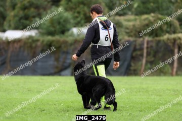 IMG_2479.jpg